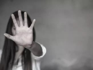 minchella violenza lupo