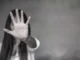minchella violenza lupo