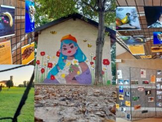 cassano yourban murales giovani