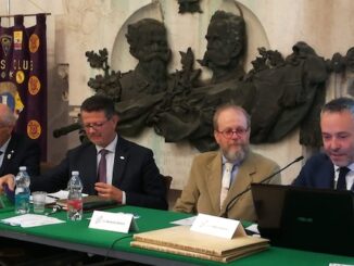 gallarate museo studi patri