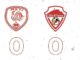 Varese Asti calcio serieD