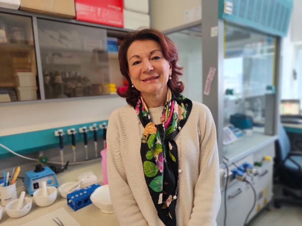 Maria Flavia Frontoni Progetti Prin e Pnrr: all'Insubria arrivano 5 milioni e mezzo di euro ...