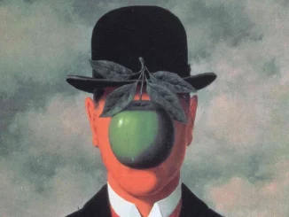 politica stiupida meritocrazia
