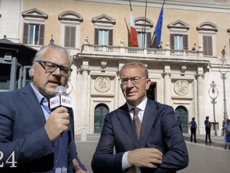 Andrea pellicini parlamento intervista