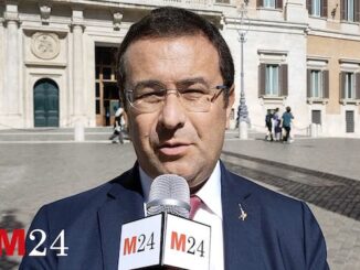 Malpensa emendamento ampliamento candiani