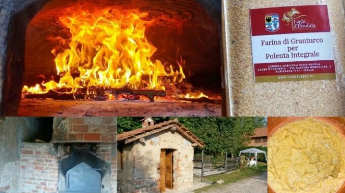albizzate festa pane forno