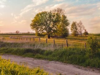 fondazione cariplo paesaggi agricoli