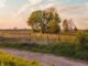 fondazione cariplo paesaggi agricoli