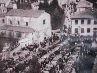 albizzate mostra foto restelli