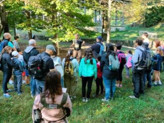 natura varese wild camp