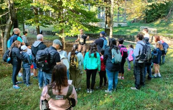 natura varese wild camp