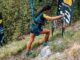 oktober trail fest