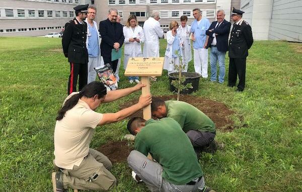 legnano ospedale albero fadoi
