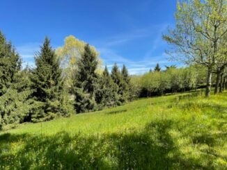 parco biumo varese