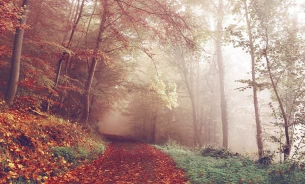 pioggia schiarite temperatura nebbia