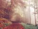 pioggia schiarite temperatura nebbia