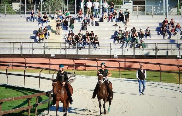 legnano palio corse addestramento