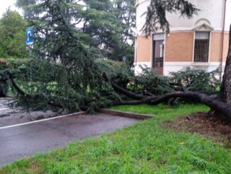 samarate crolla ramo comune