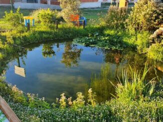 samarate natura ospedali pediatrici
