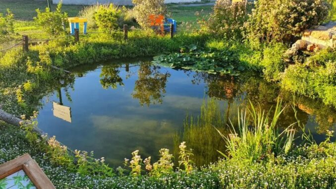 samarate natura ospedali pediatrici
