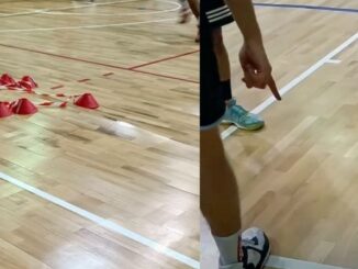 sesto palestra basket school