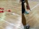 sesto palestra basket school