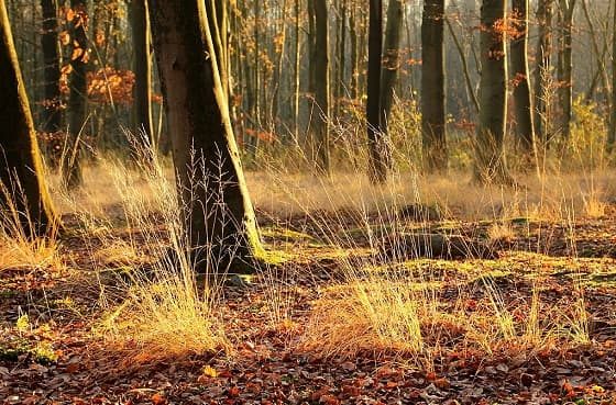 sole nubi autunno caldo