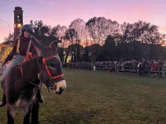 gallarate palio rama 2023