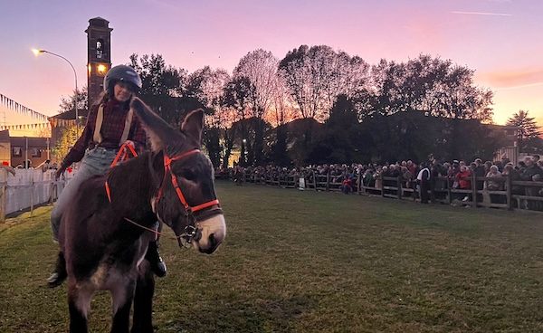 gallarate palio rama 2023