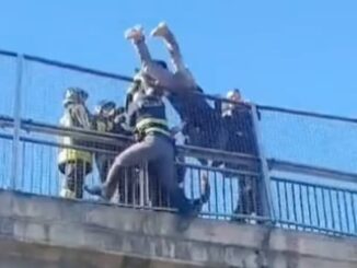 gallarate tentato suicidio salvini