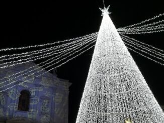 Gallarate accensione albero 2023