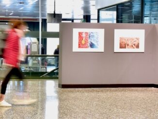 Malpensa World Water Day Photo Contest