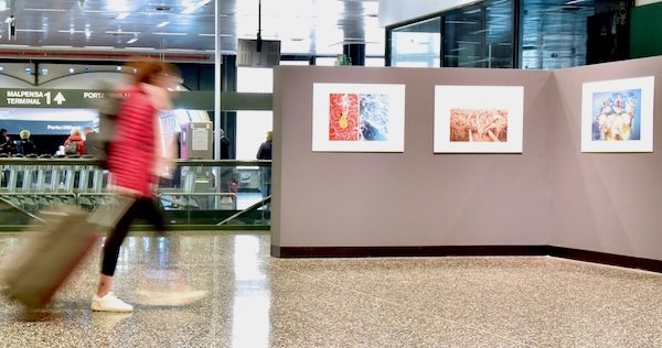 Malpensa World Water Day Photo Contest