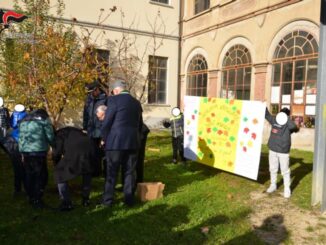 varese carabinieri festa alberi