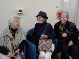 gruppo immagine mostra insubria