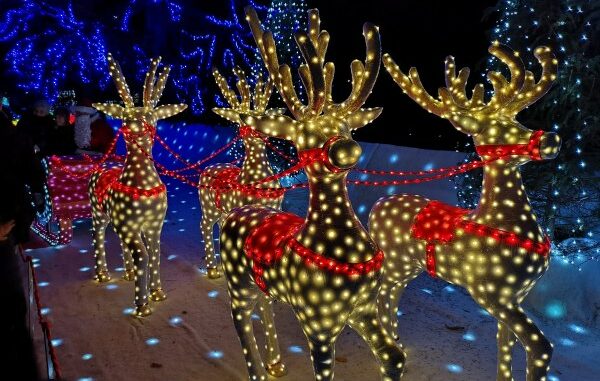leggiuno lucine natale