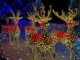 leggiuno lucine natale