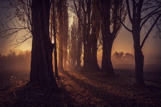 lombardia sereno föhn nebbia