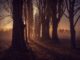 lombardia sereno föhn nebbia