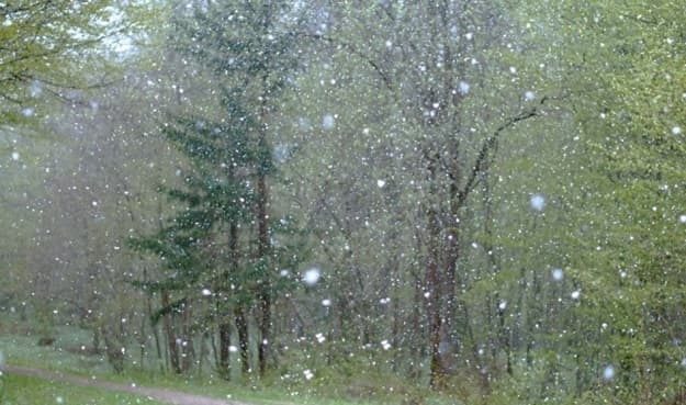 maltempo nevicate alpi esondazioni 02