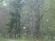 maltempo nevicate alpi esondazioni 02