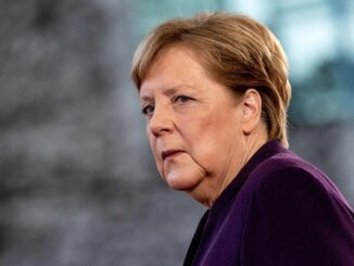 reguzzoni merkel europee