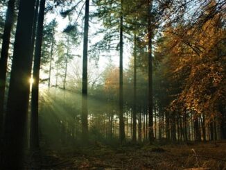 nuvole sole temperature massime
