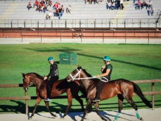 legnano palio stadio fondazione