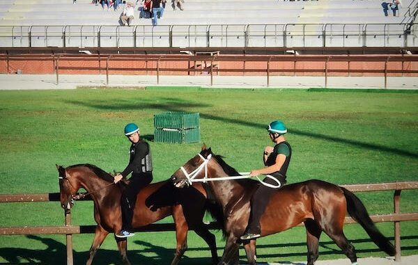 legnano palio stadio fondazione