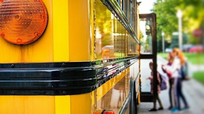 lonate niente scuolabus carminati