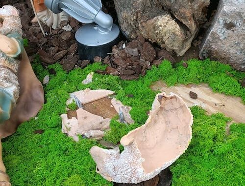 sanvittoreolona vandali presepe olonaviva