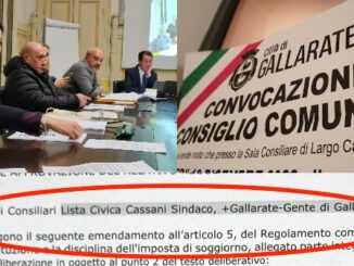 gallarate emendamento forza italia