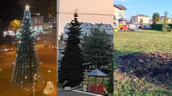 Cassano albero natale morto