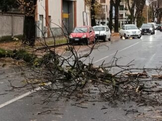 varese vento forte danni